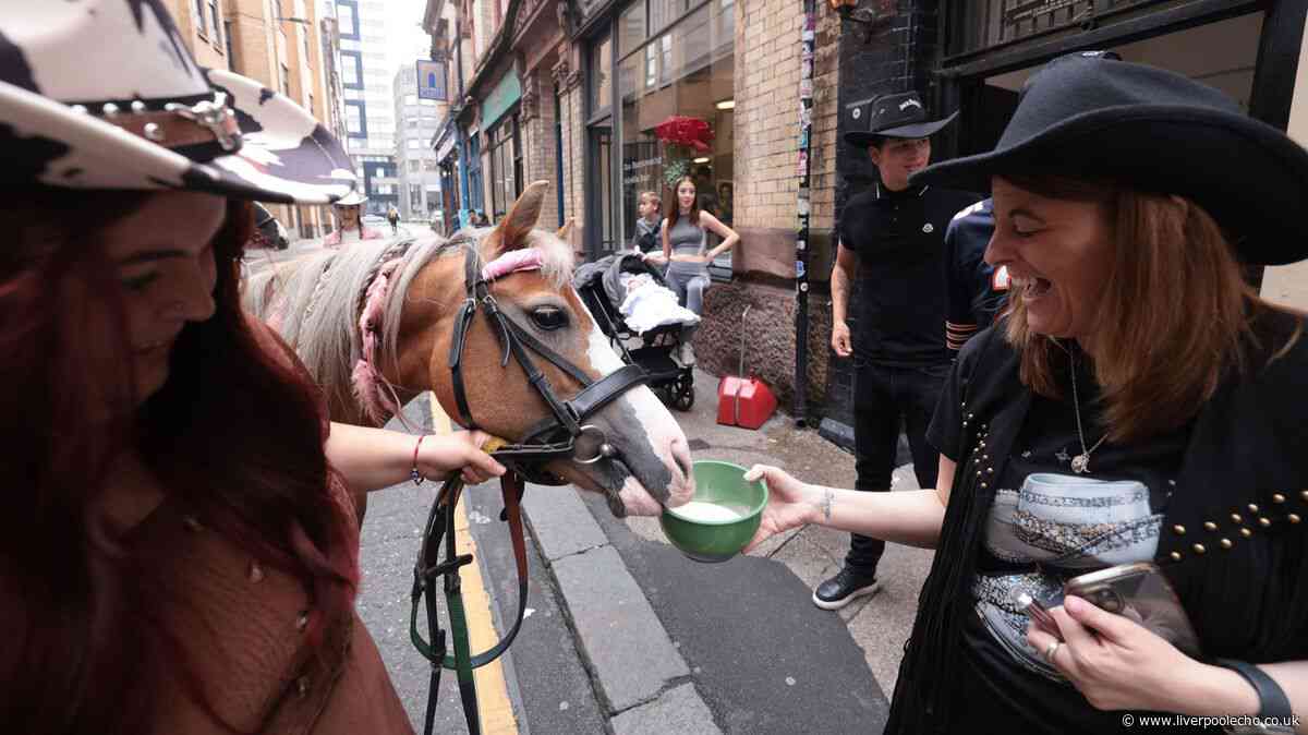 Pony pints at Liverpool pub to mark 100th anniversary of death of famous donkey