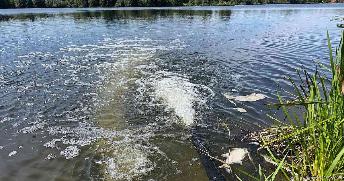 Kulmbacher Kieswäsch: Nach Fischsterben - Badeverbot ab Sonntag aufgehoben