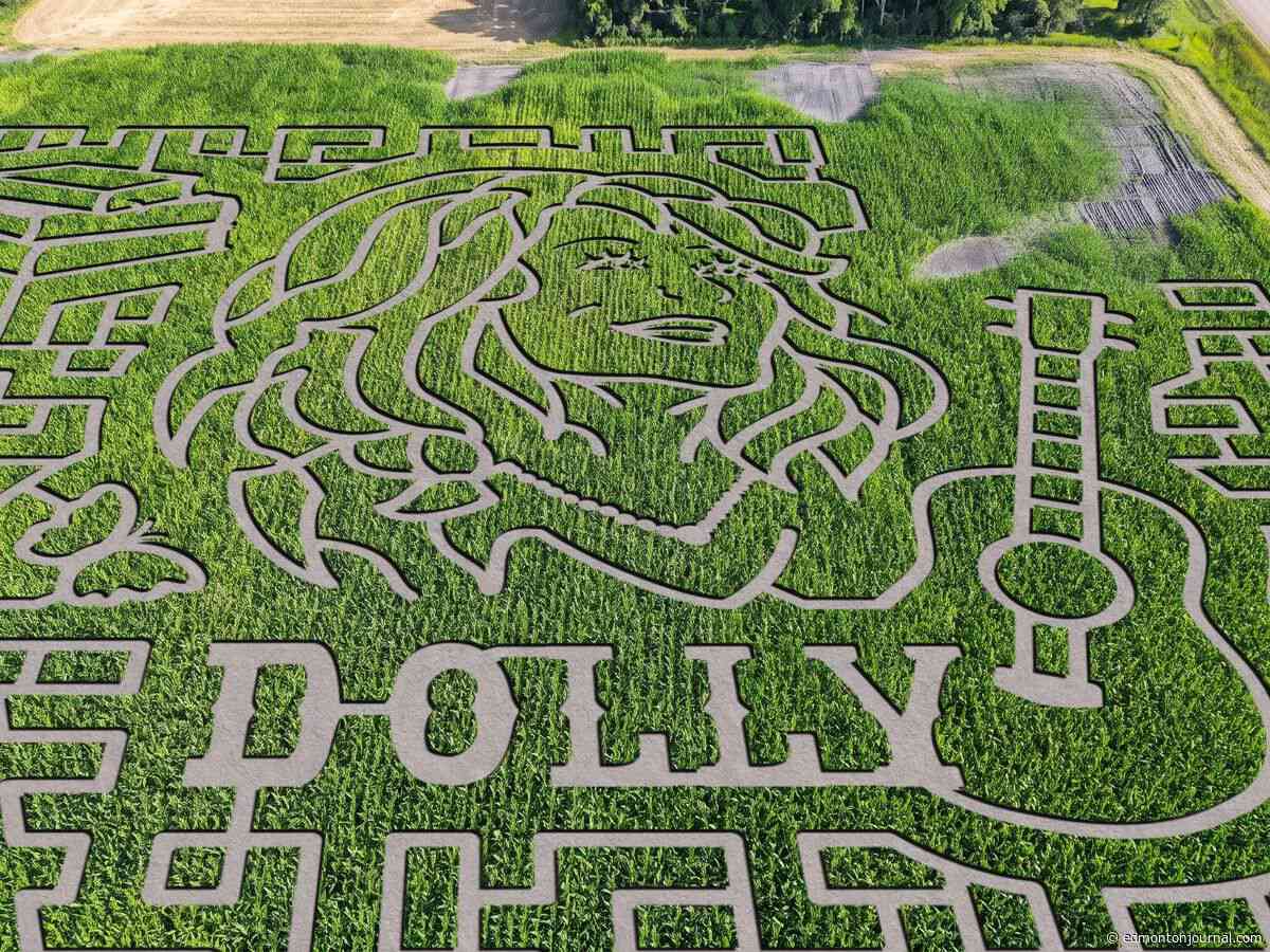 Aww, shucks: Farm east of Edmonton pays tribute to Dolly Parton with corn maze