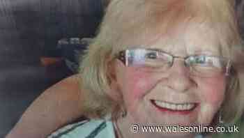 90-year-old woman last seen at Swansea market goes missing