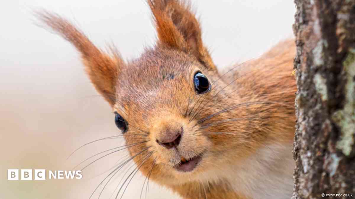 Concerns raised over impact of quad bikes on wildlife