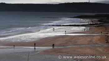 Emergency services rush to Welsh beach after four children get into difficulty in water