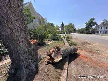 Severe weather overnight causes storm damage in Luling