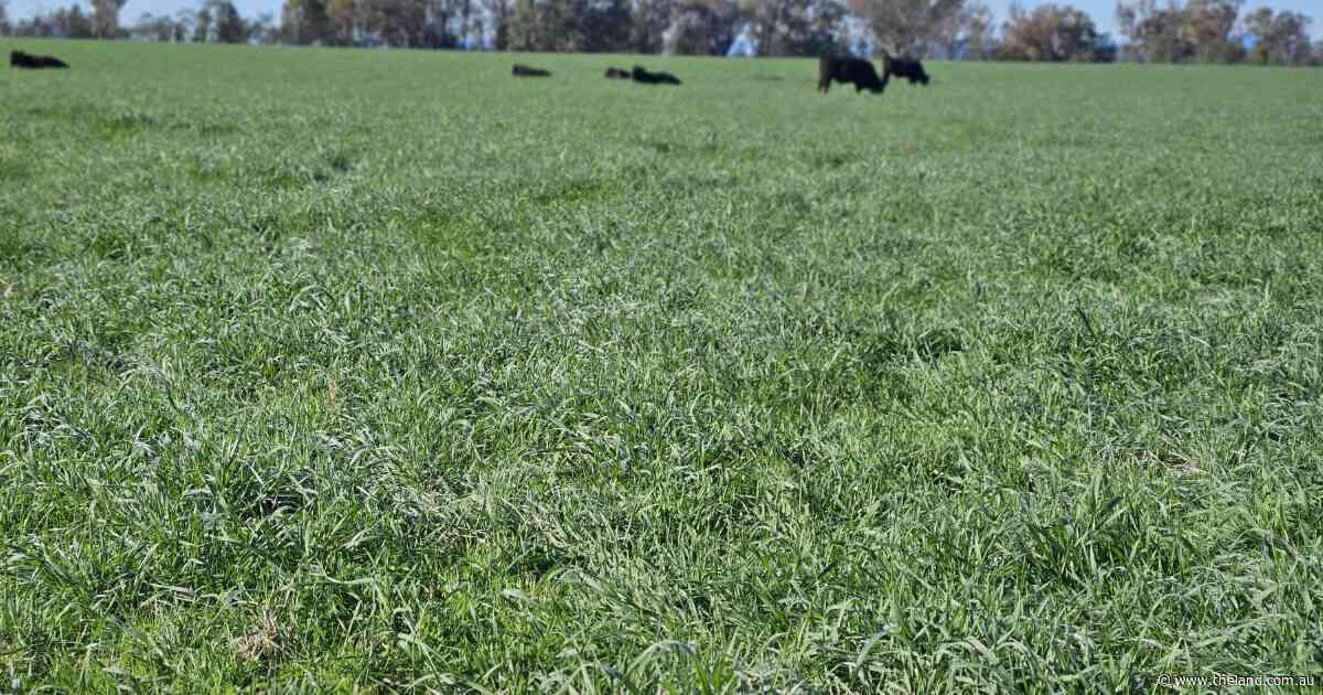 Flexibility key: planning for dry times when everyone's drought is different