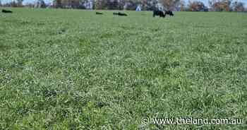 Flexibility key: planning for dry times when everyone's drought is different