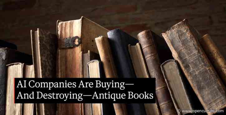 Why AI Companies Are Buying—And Then Destroying—Old Books