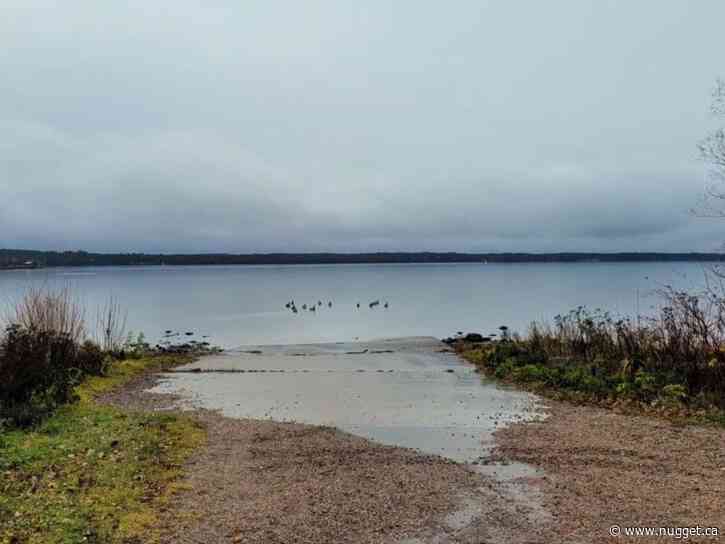 Caution advised as "harmful" blue-green algae found in Callander Bay