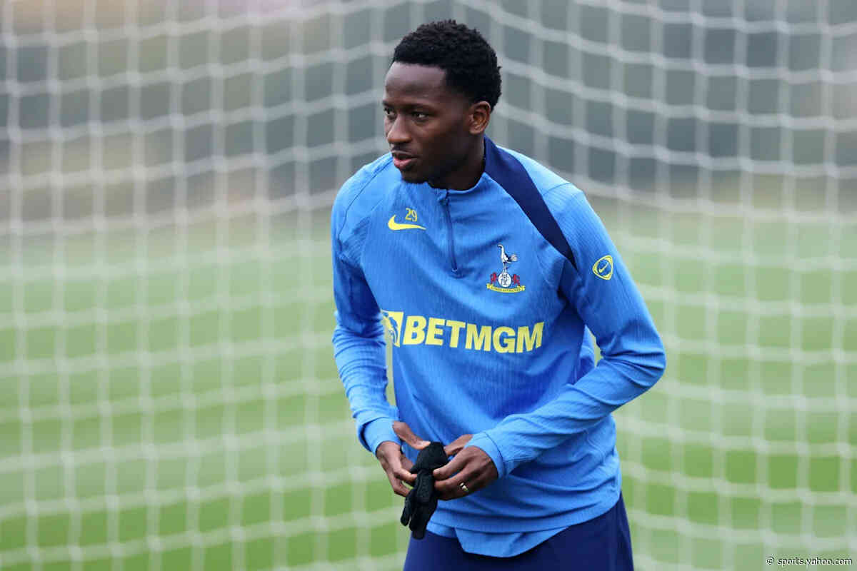 Everton Eye Spurs Midfielder Before Deadline: Is He The Right Man For David Moyes Now?