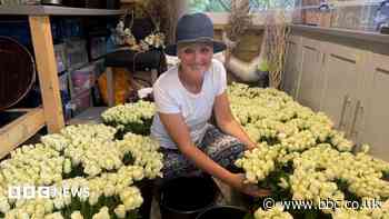 'Amazing' donation of 17,000 roses boosts charity