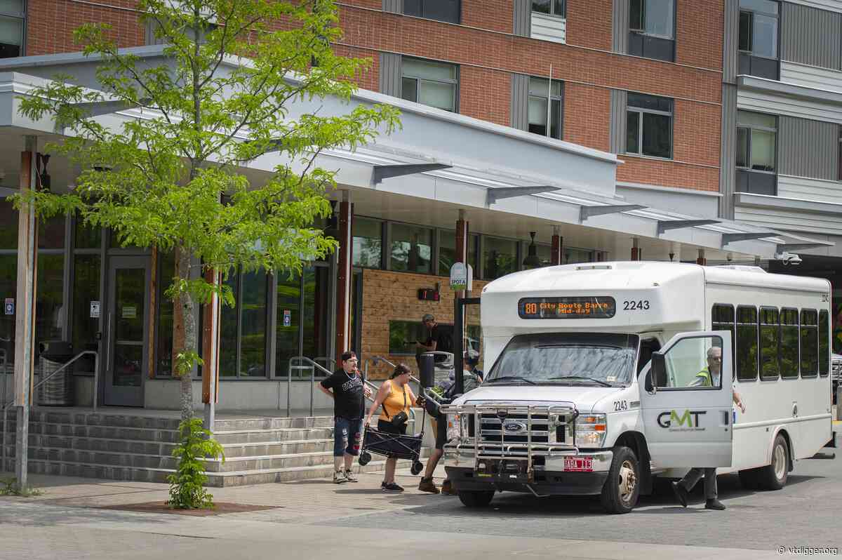 Urban trees are often planted just to die. Montpelier wants to change that.