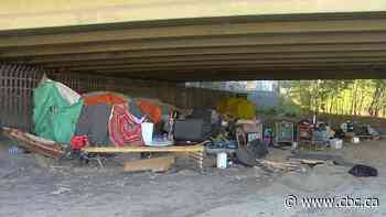 Winnipeg says encampment numbers down, but councillors question city's response