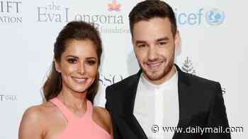'It's been a hideous time for Bear': Truth behind Cheryl's surprise TV comeback as insiders tell KATIE HIND about her quiet life with her son, and why she's joined the Voice two years after the death of Liam Payne