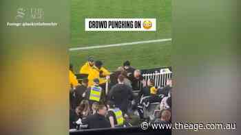 Brawl at Collingwood and Western Bulldogs AFL match