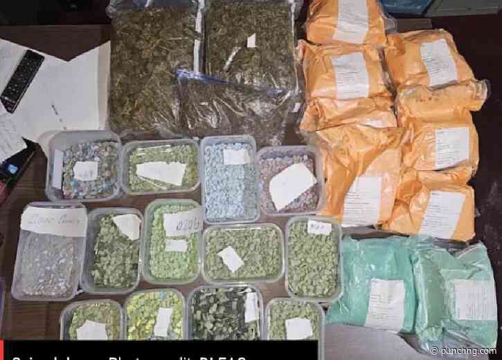 Gambia anti-drug agency nabs Nigerian with 90,020 ecstasy pills