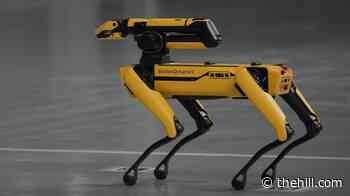 ICE plans to spend $2 million on dog-like robots for immigration enforcement