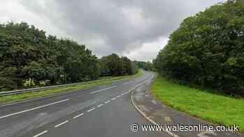 Woman dies in head-on A40 crash after veering onto wrong side of road