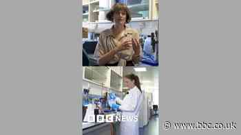 Periods study to create world's largest biobank