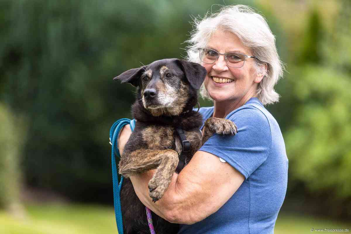 Hund auf der A72 bei Zwickau eingefangen: Welche emotionale Geschichte dahintersteckt