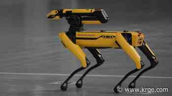 ICE plans to spend $2 million on dog-like robots for immigration enforcement