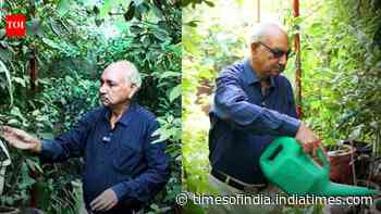 Delhi Man’s Mini Orchard: Retired tax officer grows 1,000+ terrace plants