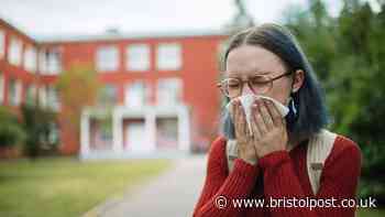 Pharmacists warns students as meningitis symptom could be mistaken for ‘freshers flu’