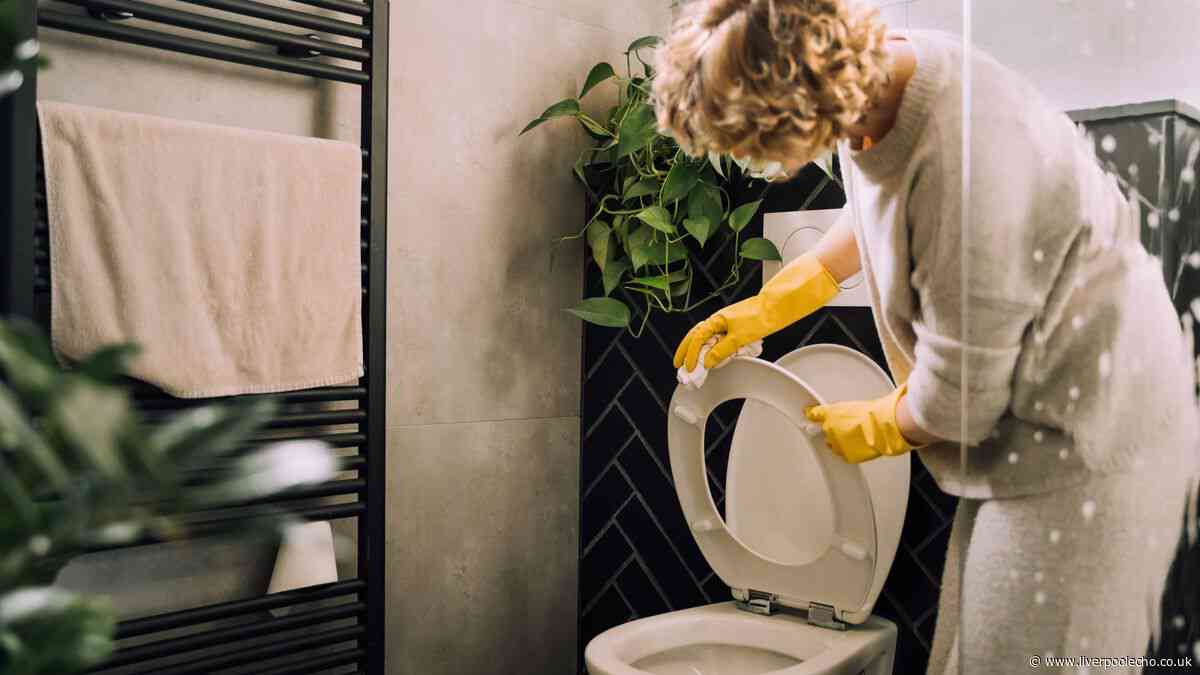Vital toilet cleaning step many ignore – it's necessary for sparkling clean results
