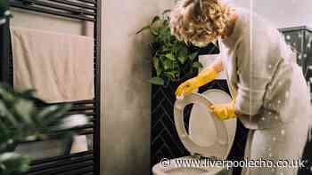 Vital toilet cleaning step many ignore – it's necessary for sparkling clean results