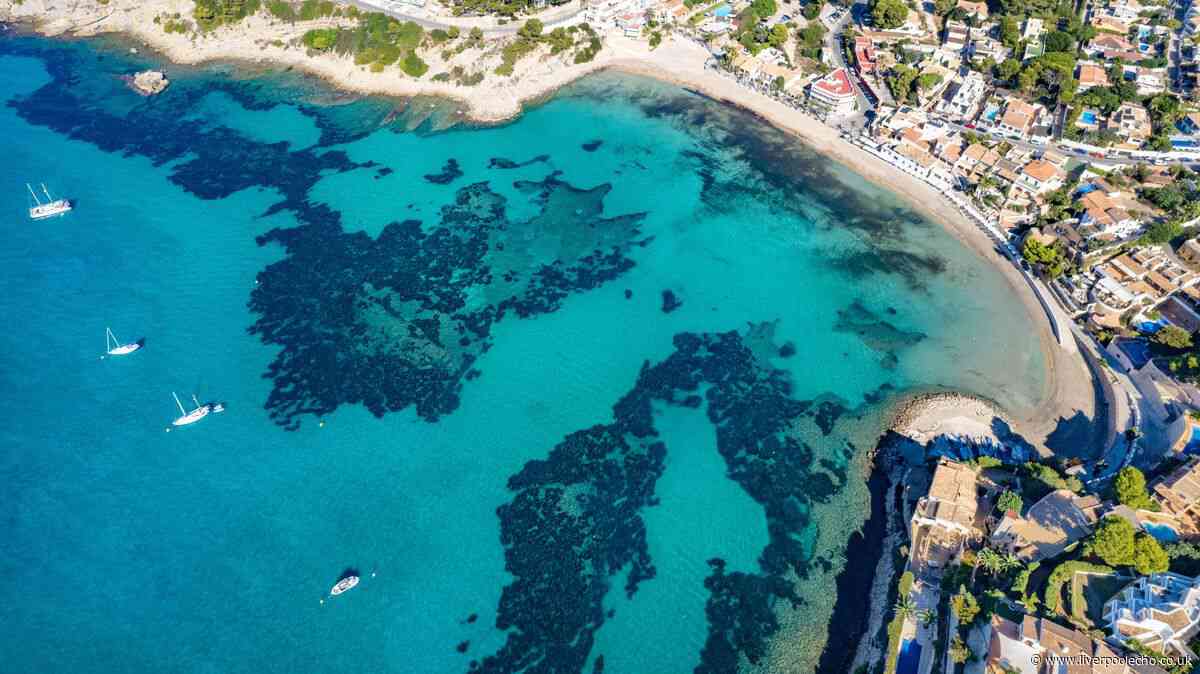 Buying £4 fare in Benidorm will take you somewhere '1,000 times better'