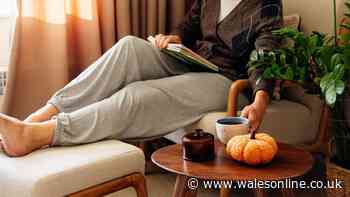 'Add cosy touch' to home with £120 autumn throw now £35 that has shoppers buying two