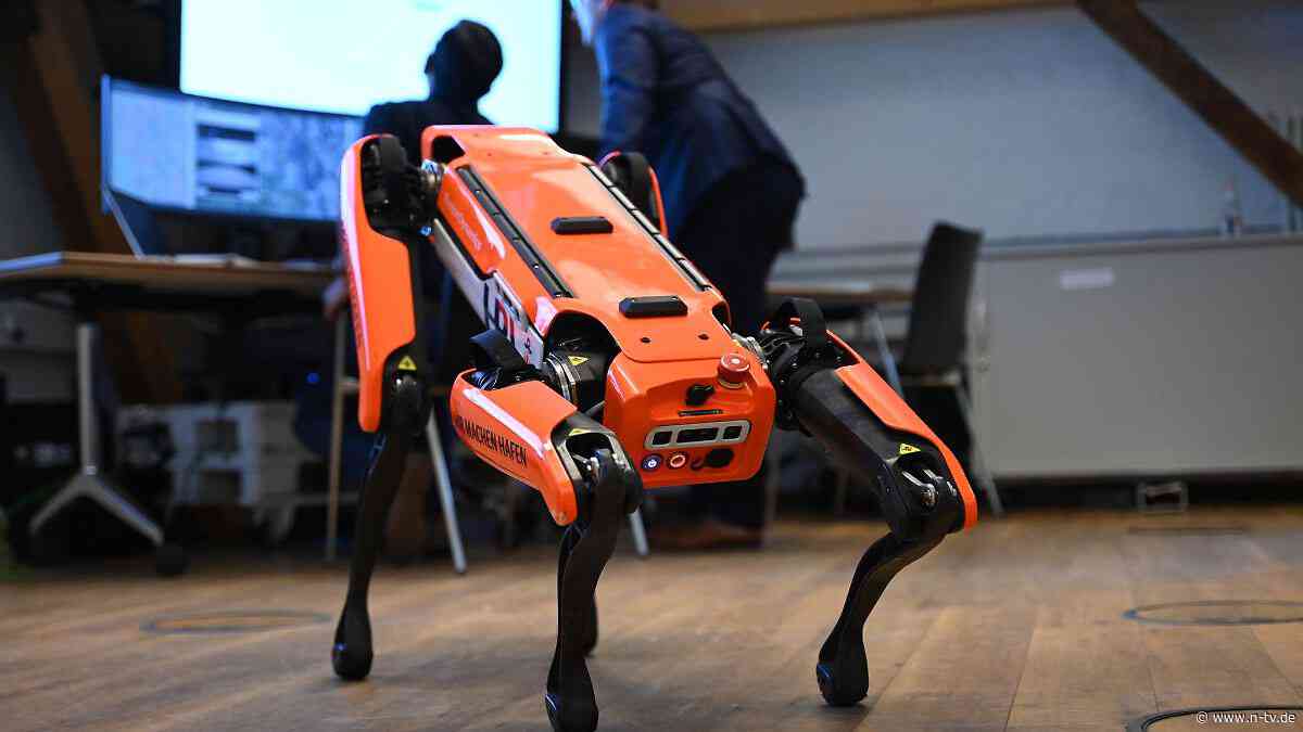 Auftrag für Boston Dynamics: US-Behörde ICE plant Einsatz von Roboter-Hunden