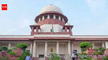 SC to hear plea seeking mandatory disclosure of ethanol content in petrol on Aug 31