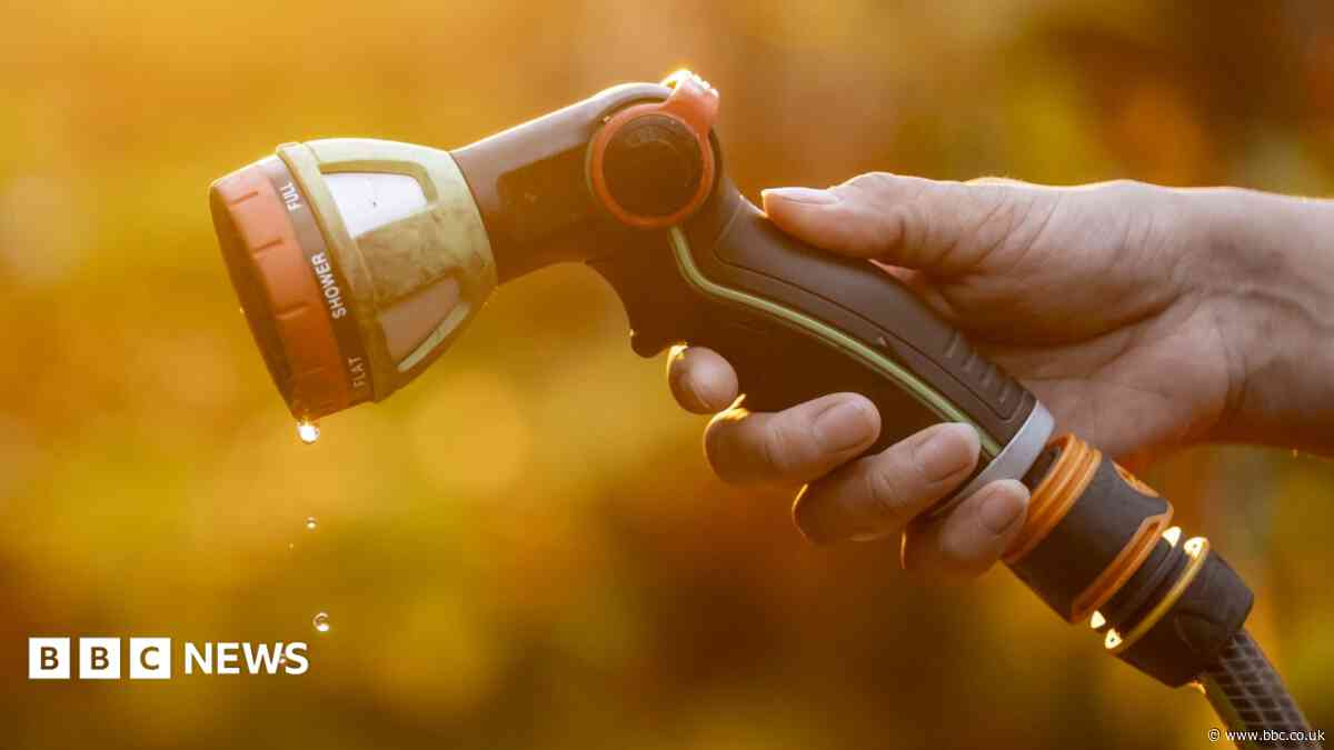 'Hosepipe ban' and 'Britain's favourite path'