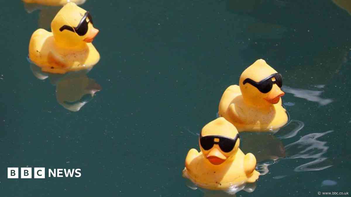 Charity duck race cancelled over river pollution
