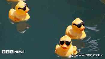 Charity duck race cancelled over river pollution