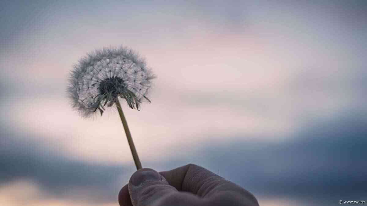 Was, wenn unser Gehirn Bewusstsein nur empfängt – und nicht erzeugt?