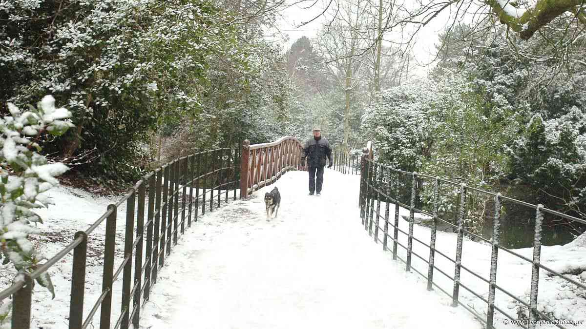 Winter wonderland experience confirmed for Birkenhead as 'secret is out'