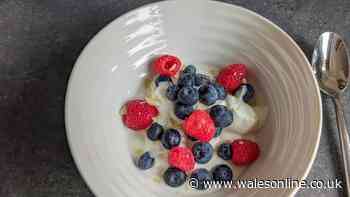 Supermarket Greek-style yoghurt crowned in taste test — and it's half the price Yeo Valley