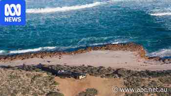 Tourists having 'dummy spits' taking a toll on business owners in remote WA