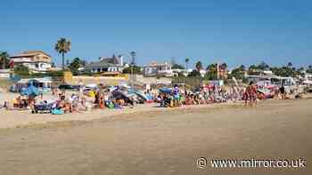 Five Spanish beaches closed to swimmers after 'faecal' bacteria found