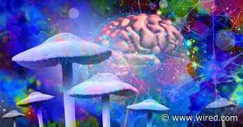 Psilocybin Might Make Your Brain Live in the Moment