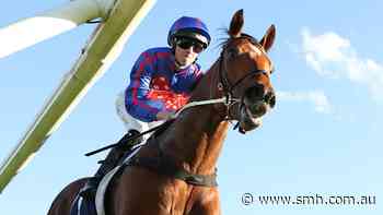 Guest House on track for Everest after dominant victory in San Domenico