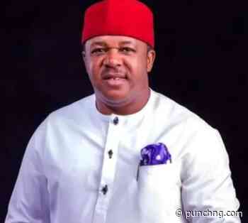 VIDEO: Why Yoruba movies dominate cinema, digital platforms over Igbo — Francis Duru