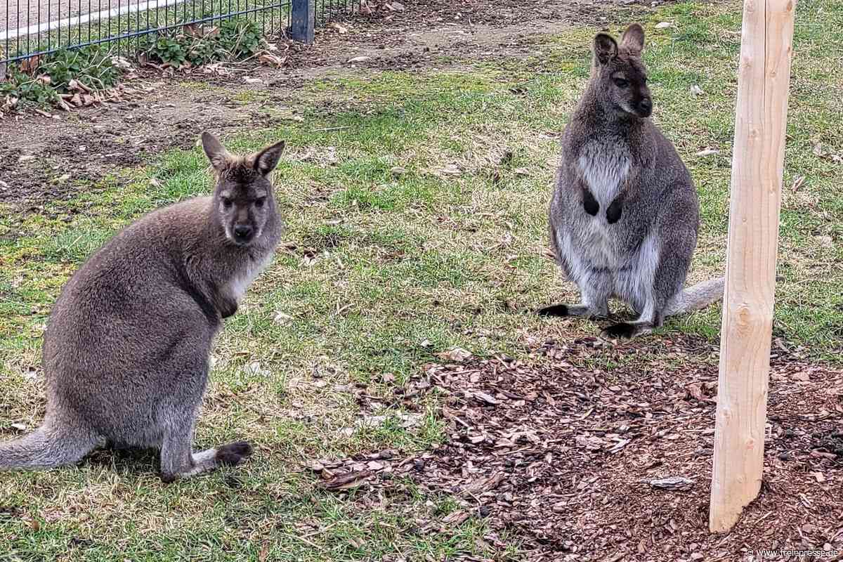 Tierpark Hirschfeld feiert 70 Jahre – Ministerin Klepsch zu Gast