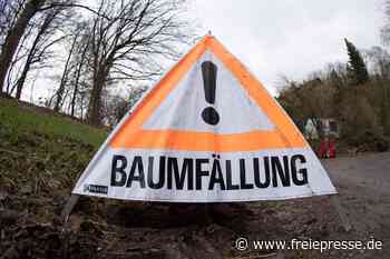 Schwarzenberg: Sperrungen auf Steinweg und an der Bahnhofstraße wegen Baumfällungen