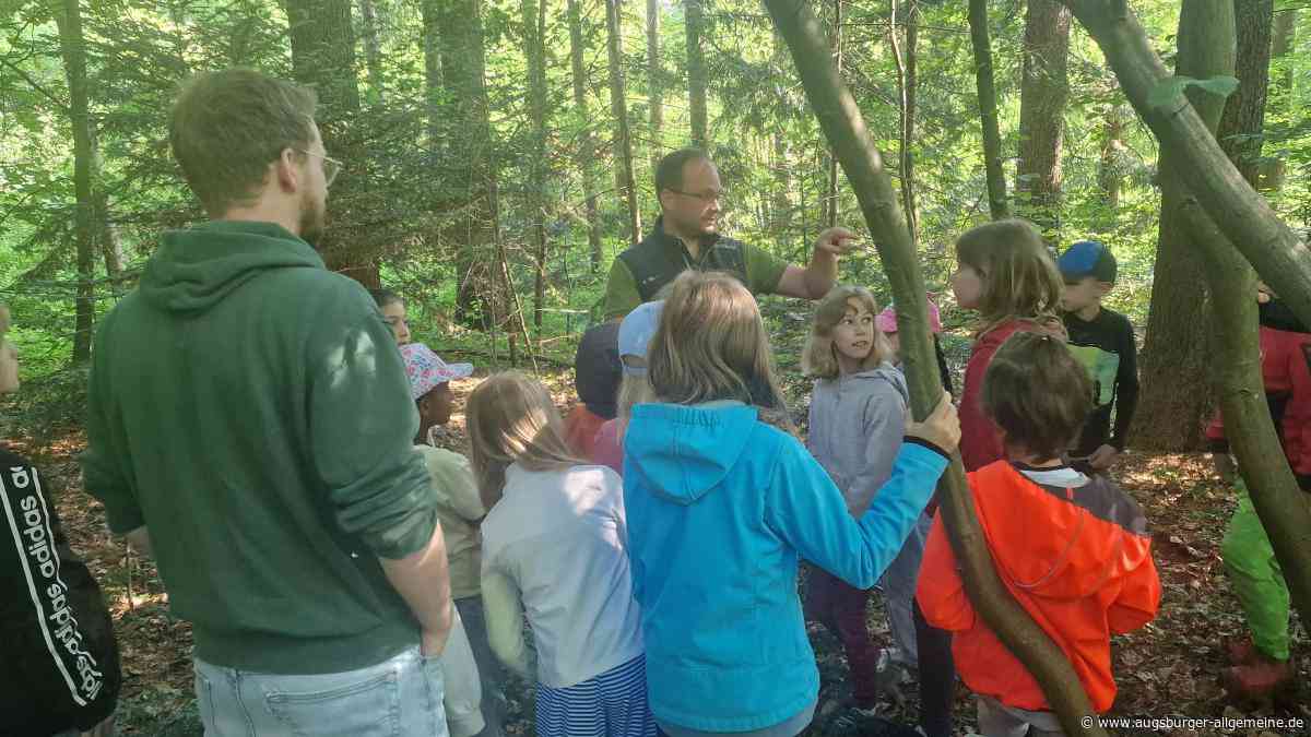 Erlebniszentrum: Hier können Besucher ganz tief ins Thema Wald eintauchen