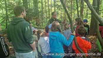 Erlebniszentrum: Hier können Besucher ganz tief ins Thema Wald eintauchen