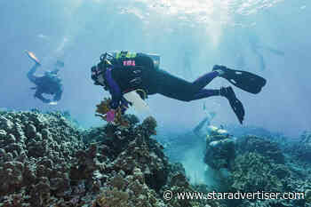 Hurricane Lala triggers coral reef insurance for first time