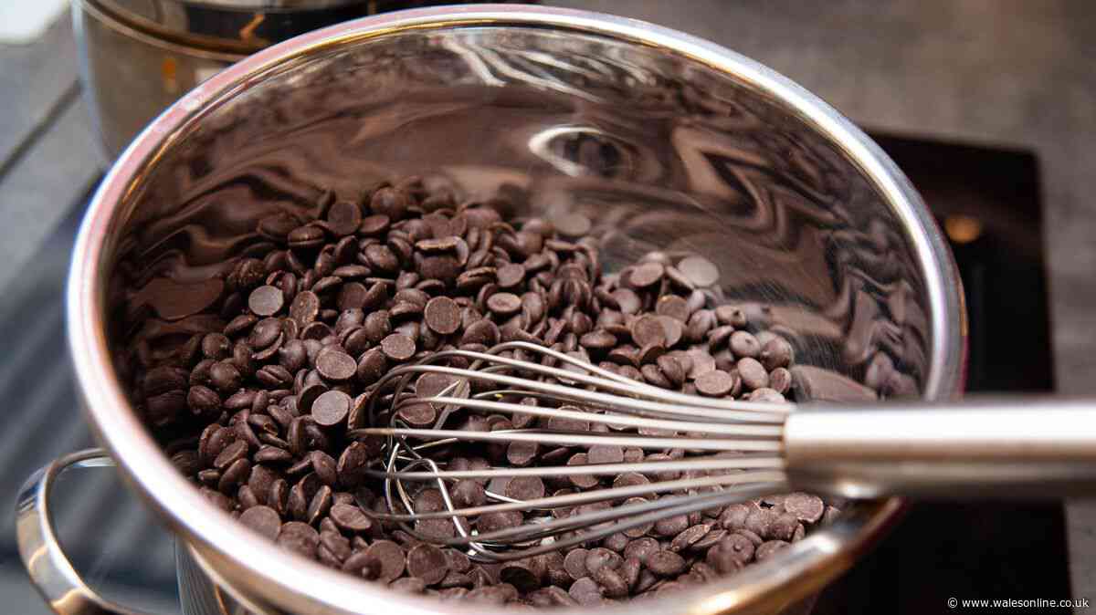 Cooking chocolate vs eating chocolate: what's the difference?