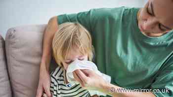 UKHSA symptoms that mean unwell children should still go to school