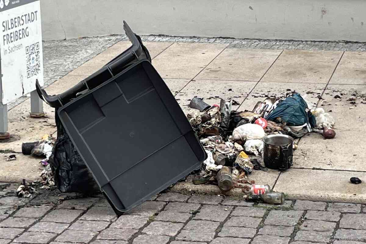 Mülltonnenbrände in Freiberg: Fünf Tipps, was man selbst dagegen tun kann